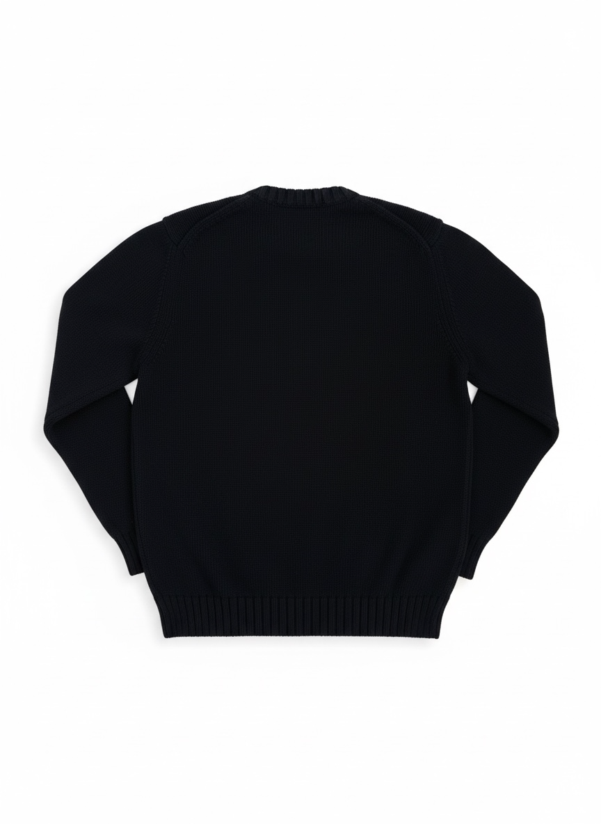 RL Titan USA Flag Jersey